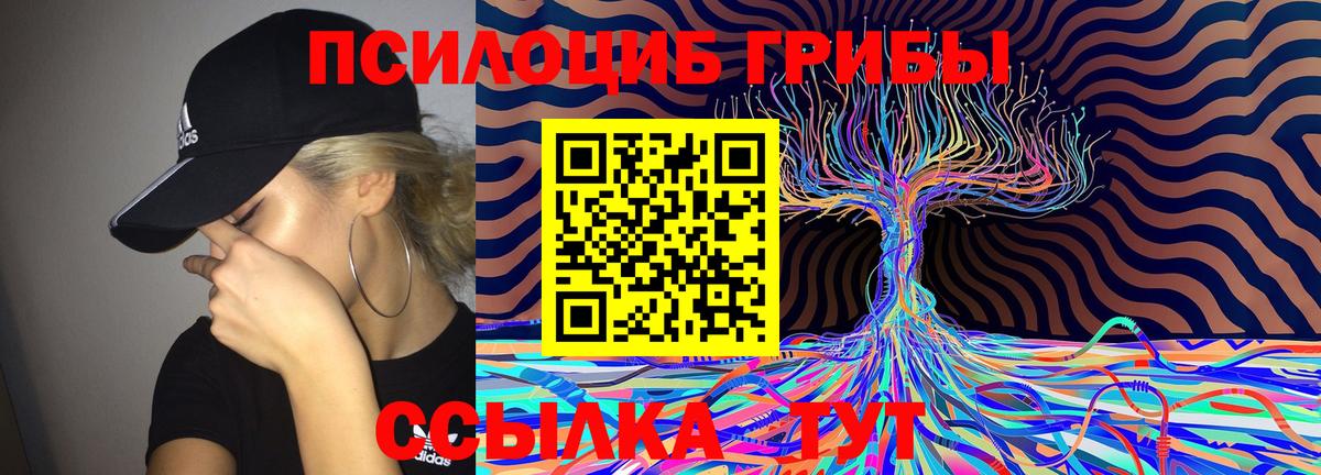 Троицк  Галлюциногенные грибы MAGIC MUSHROOMS  Галлюциногенные грибы мухоморы  Вход с VPN 