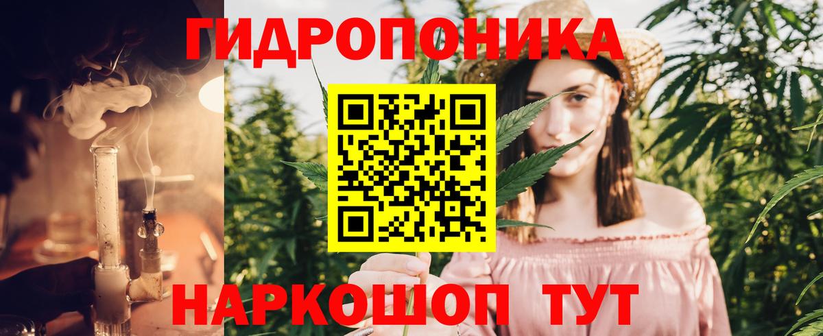 Бошки Шишки план Троицк